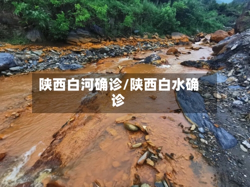 陕西白河确诊/陕西白水确诊