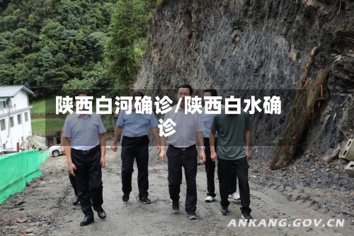 陕西白河确诊/陕西白水确诊-第3张图片