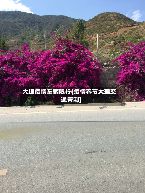 大理疫情车辆限行(疫情春节大理交通管制)
