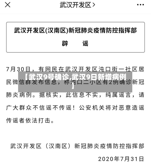 【武汉9号确诊,武汉9日新增病例】-第3张图片