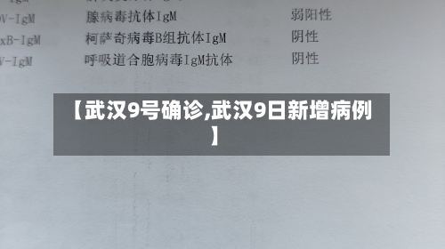 【武汉9号确诊,武汉9日新增病例】-第2张图片