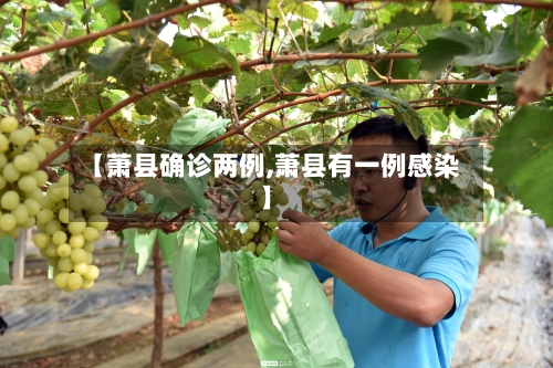 【萧县确诊两例,萧县有一例感染】-第2张图片