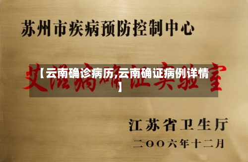 【云南确诊病历,云南确证病例详情】