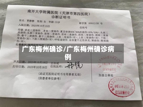 广东梅州确诊/广东梅州确诊病例-第2张图片