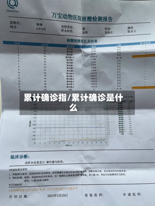 累计确诊指/累计确诊是什么-第2张图片