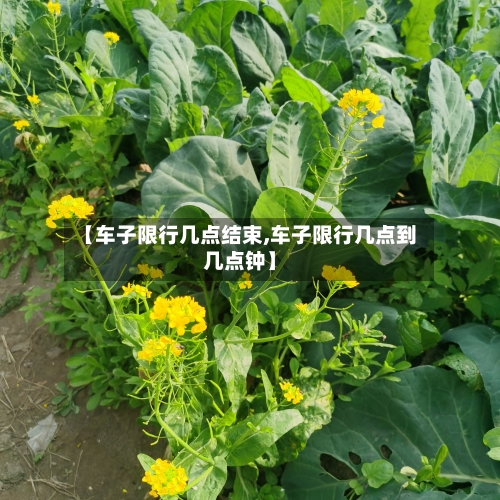 【车子限行几点结束,车子限行几点到几点钟】