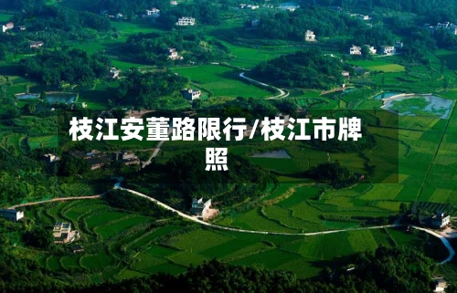 枝江安董路限行/枝江市牌照