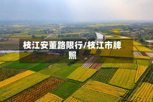 枝江安董路限行/枝江市牌照-第3张图片