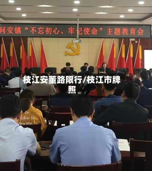 枝江安董路限行/枝江市牌照-第2张图片