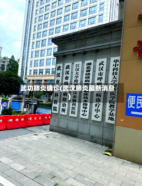 武功肺炎确诊(武汊肺炎最新消息)