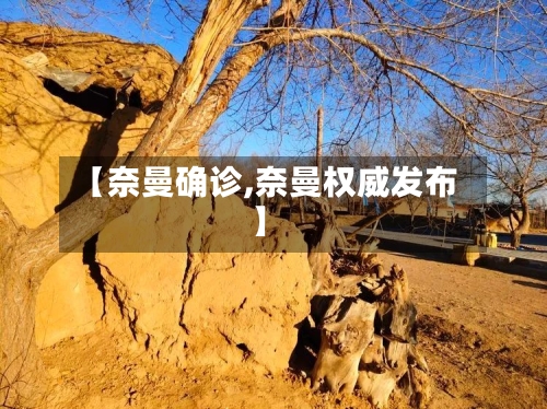 【奈曼确诊,奈曼权威发布】-第2张图片