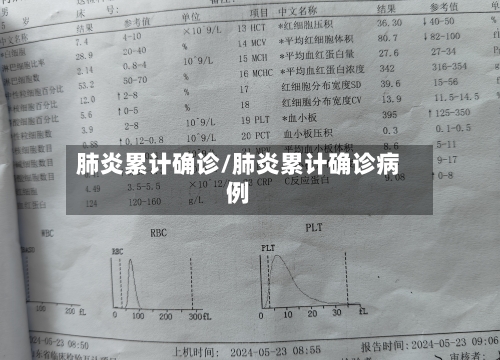 肺炎累计确诊/肺炎累计确诊病例-第2张图片