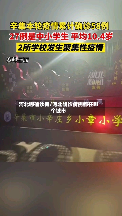河北哪确诊有/河北确诊病例都在哪个城市