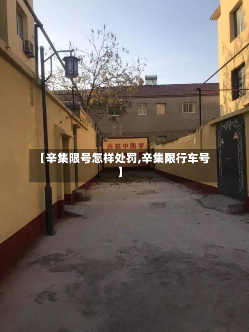 【辛集限号怎样处罚,辛集限行车号】-第2张图片