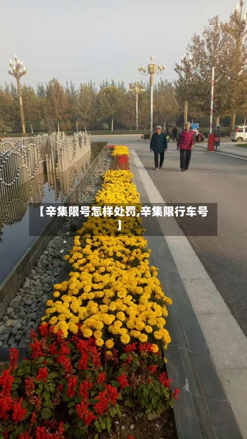 【辛集限号怎样处罚,辛集限行车号】