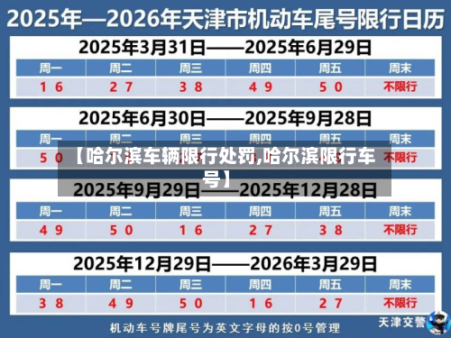 【哈尔滨车辆限行处罚,哈尔滨限行车号】-第2张图片