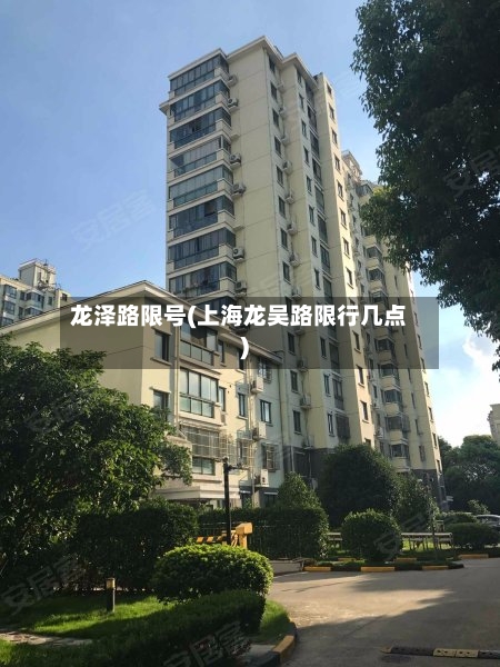 龙泽路限号(上海龙吴路限行几点)