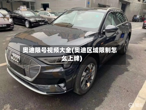 奥迪限号视频大全(奥迪区域限制怎么上牌)-第3张图片