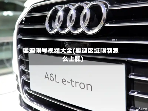 奥迪限号视频大全(奥迪区域限制怎么上牌)-第2张图片