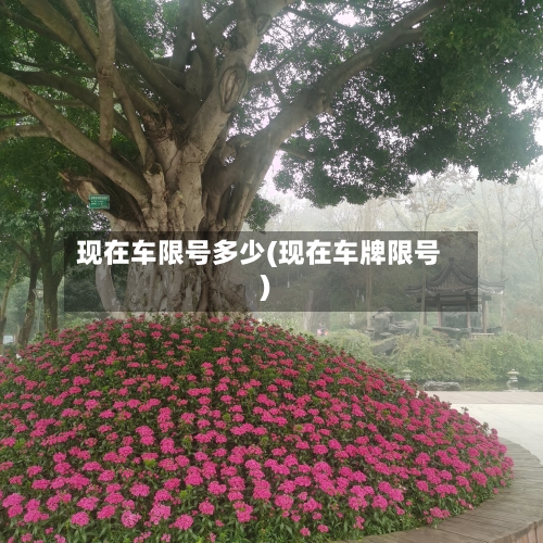 现在车限号多少(现在车牌限号)-第3张图片