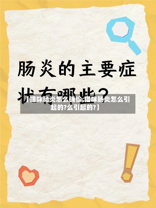 【猫咪肠炎怎么确诊,猫咪肠炎怎么引起的?么引起的?】