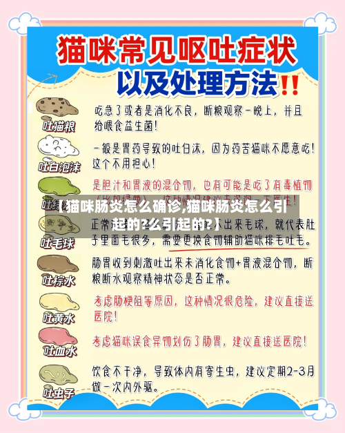 【猫咪肠炎怎么确诊,猫咪肠炎怎么引起的?么引起的?】-第3张图片