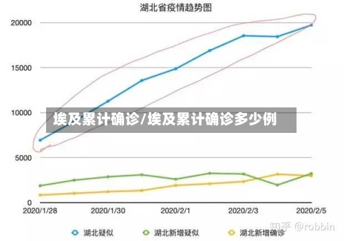 埃及累计确诊/埃及累计确诊多少例