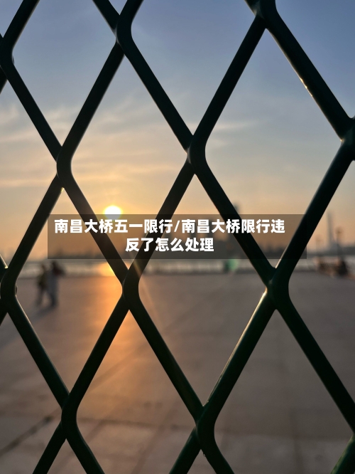 南昌大桥五一限行/南昌大桥限行违反了怎么处理-第3张图片
