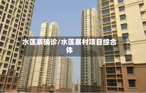 水莲寨确诊/水莲寨村项目综合体