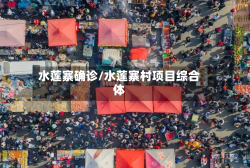 水莲寨确诊/水莲寨村项目综合体-第2张图片