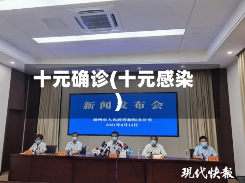 十元确诊(十元感染)-第2张图片