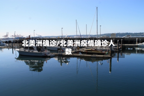 北美洲确诊/北美洲疫情确诊人数