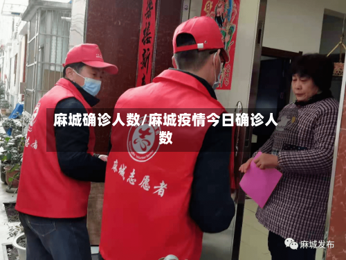 麻城确诊人数/麻城疫情今日确诊人数-第2张图片