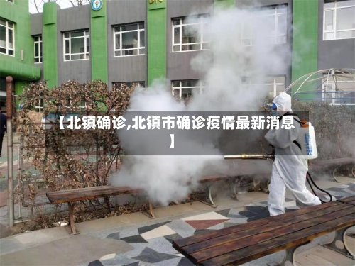 【北镇确诊,北镇市确诊疫情最新消息】