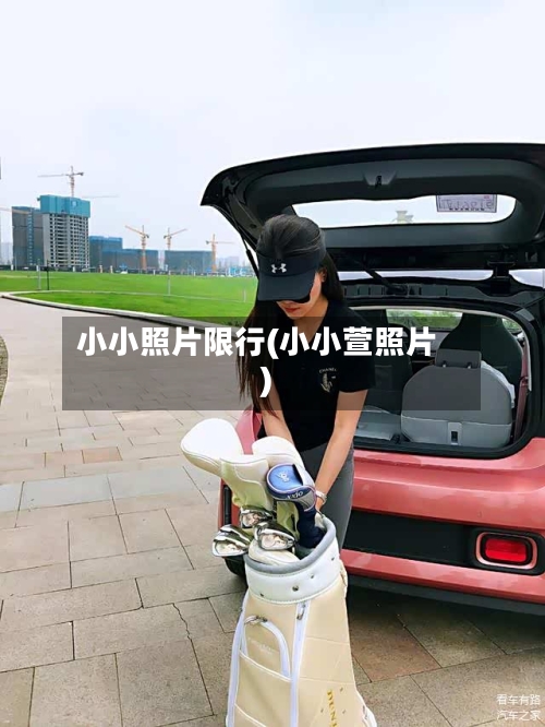 小小照片限行(小小萱照片)-第2张图片