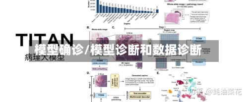 模型确诊/模型诊断和数据诊断