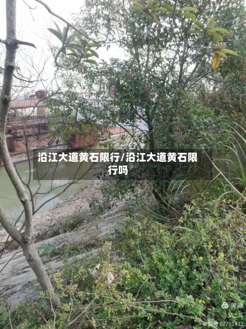 沿江大道黄石限行/沿江大道黄石限行吗