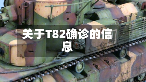 关于T82确诊的信息