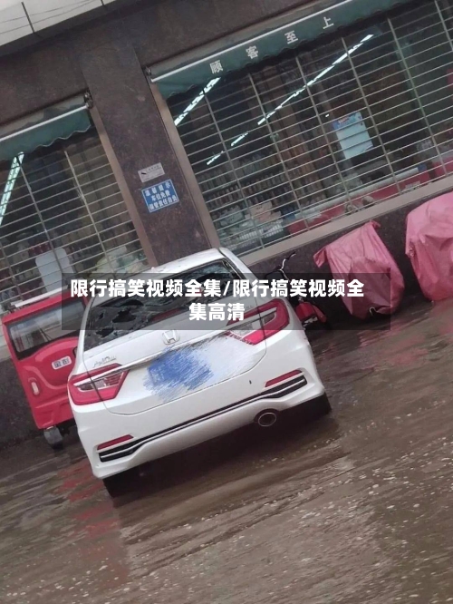 限行搞笑视频全集/限行搞笑视频全集高清-第3张图片