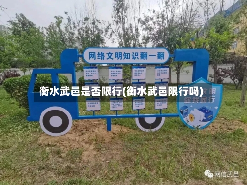 衡水武邑是否限行(衡水武邑限行吗)-第3张图片