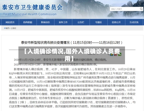 【入境确诊情况,国外入境确诊人员费用】-第2张图片