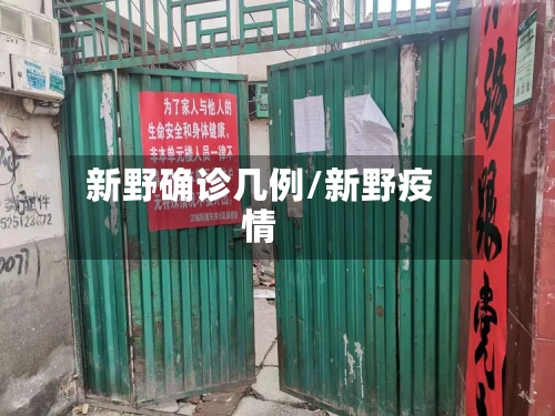 新野确诊几例/新野疫情-第2张图片