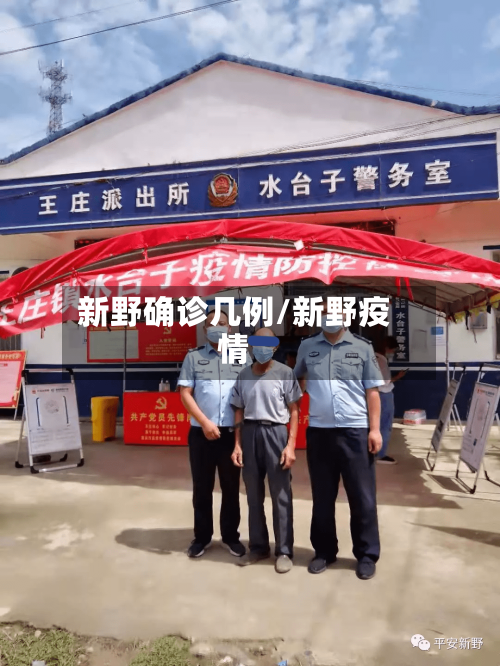 新野确诊几例/新野疫情