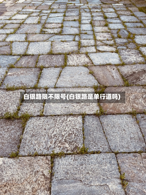 白银路限不限号(白银路是单行道吗)