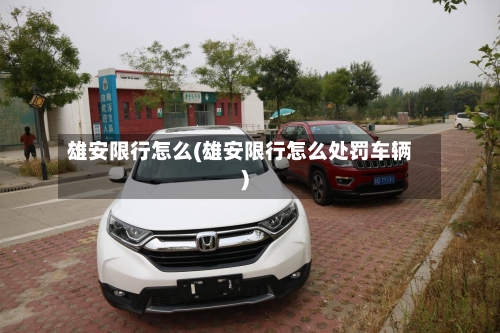 雄安限行怎么(雄安限行怎么处罚车辆)-第2张图片