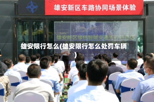 雄安限行怎么(雄安限行怎么处罚车辆)-第3张图片