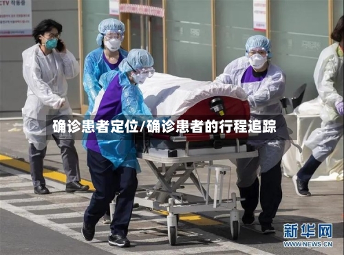 确诊患者定位/确诊患者的行程追踪-第2张图片