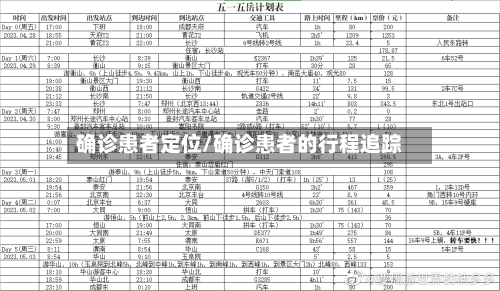 确诊患者定位/确诊患者的行程追踪