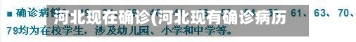 河北现在确诊(河北现有确诊病历)-第3张图片