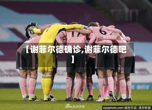 【谢菲尔德确诊,谢菲尔德吧】-第3张图片